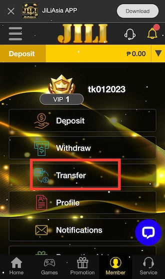Step 1:Select Transfer.